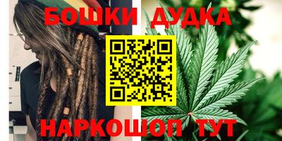 PSILOCYBIN Канаш