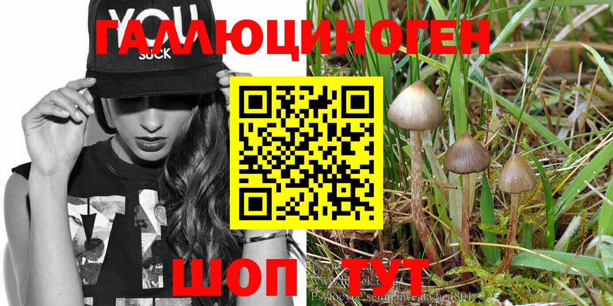 Галлюциногенные грибы Magic Shrooms  Галлюциногенные грибы Magic Shrooms  Крымск  Вход с VPN 